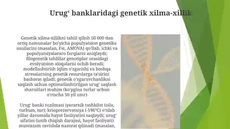 Senopopulyatsiyaning urugʻ banki tuzilishi bilan tanishish 4