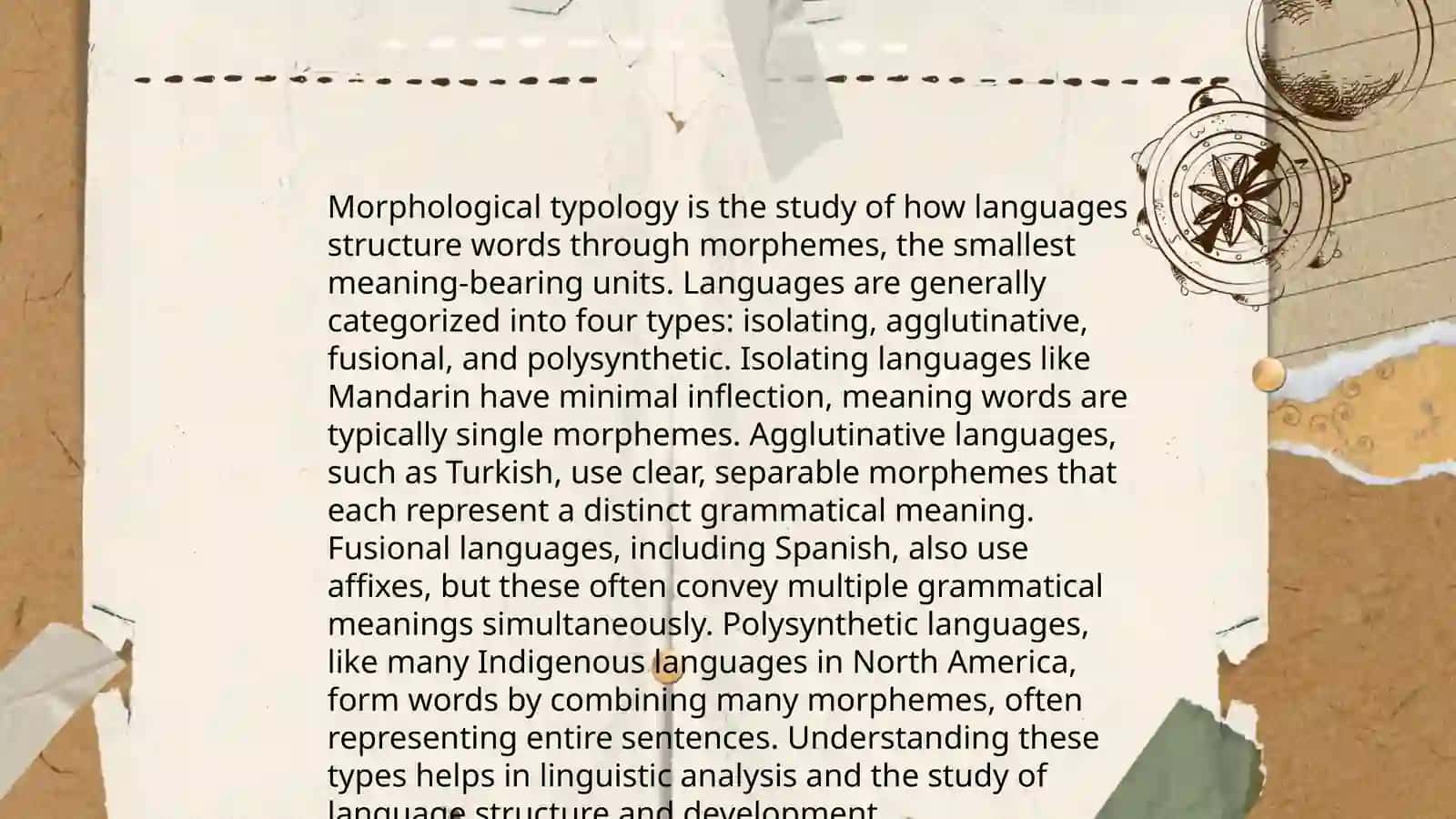 Typology of lexical systems 4