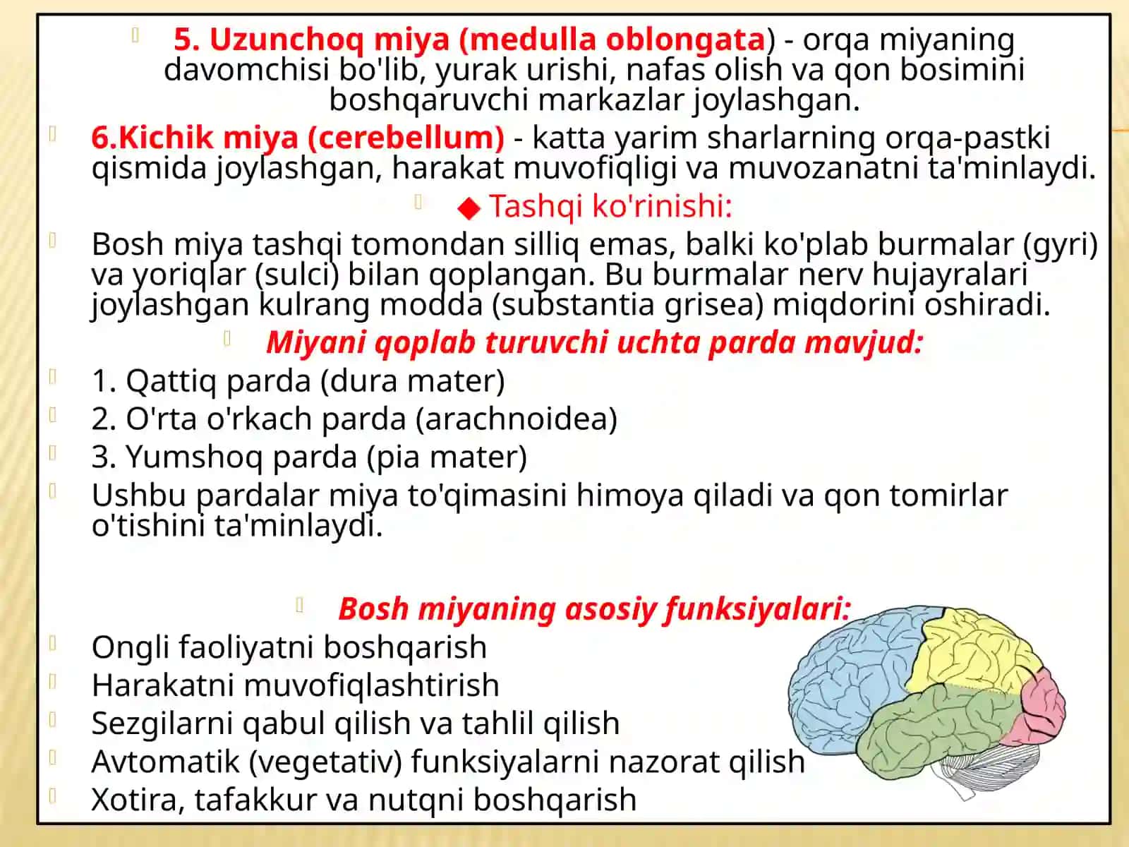 9 juft nerv’’ mavzusi taqdimoti 4
