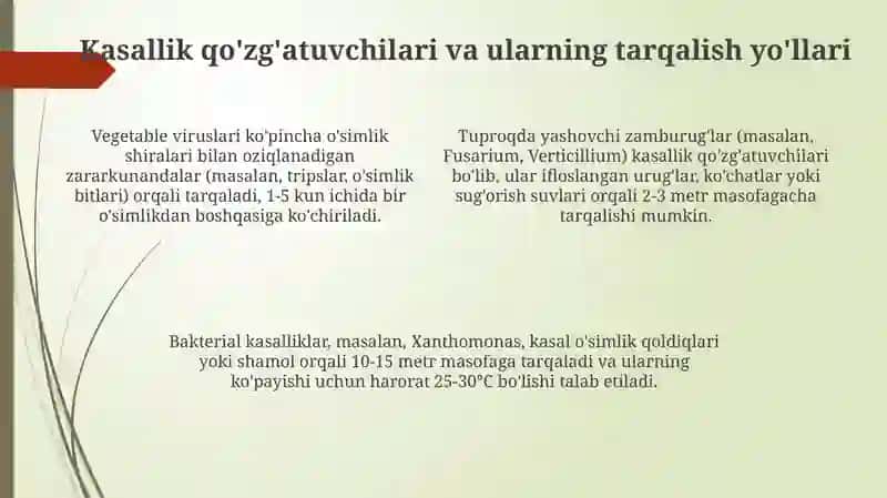 Sabzi va sholgʻom kasalliklari va ularga qarshi kurash choralari 4