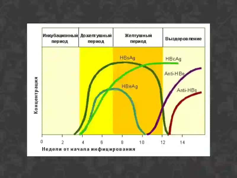 Virusli gepatit diagnostikasi 4
