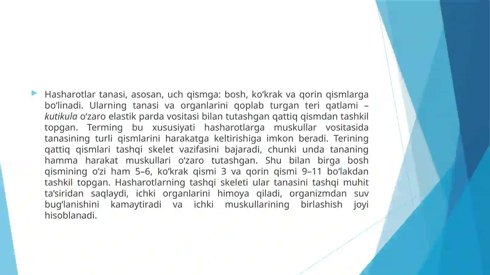 Hasharotlarning umumiy tuzilishi, tashqi morfologiyasi 4