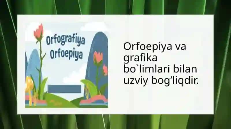 Orfografik tahlil 4