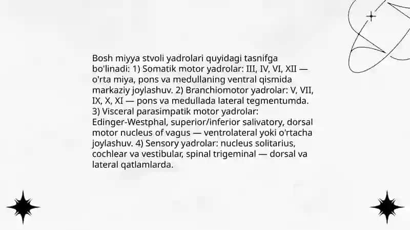 Bosh miyya stvolining anatomiyasi 4