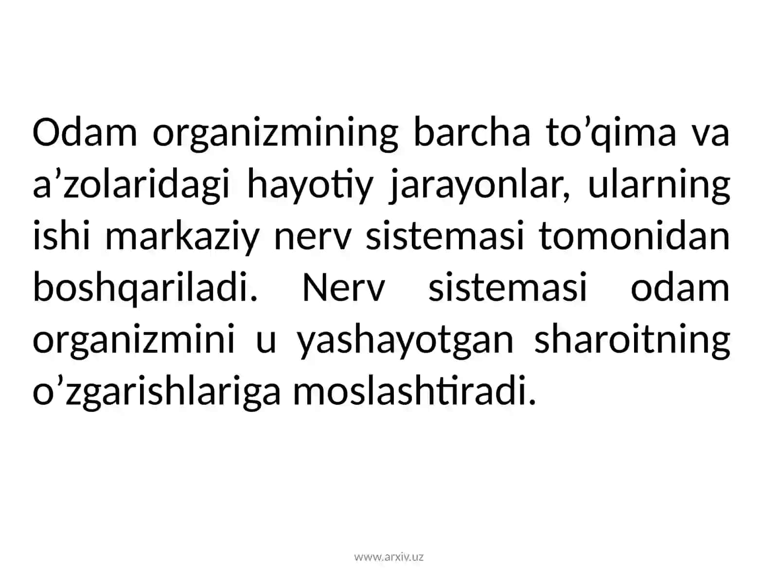 Nerv sistemasining ahamiyati va uning gigiyenasi 4