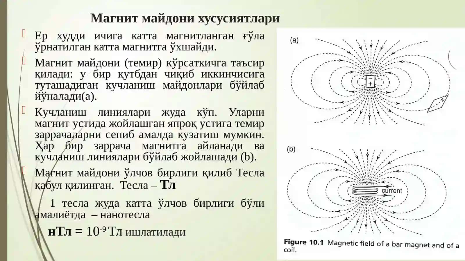 Ернинг магнит майдони 4
