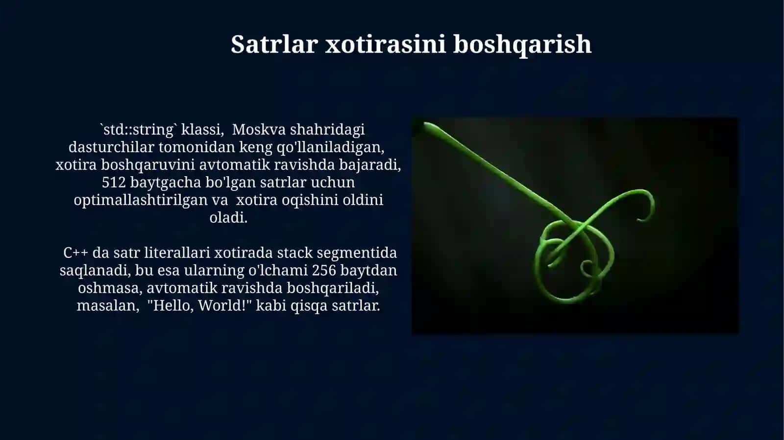C++ tilida satr kattaliklar 4
