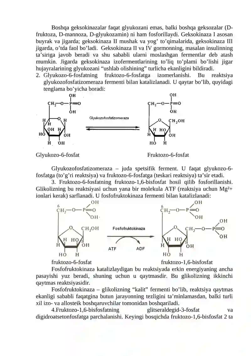 Energiyaning anaerob hosil bo’lishi 4