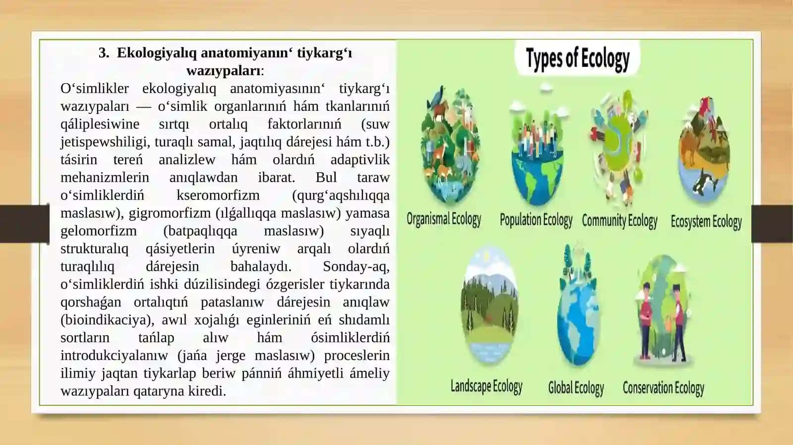 O‘simlikler ekologiyalıq anatomiyası 4