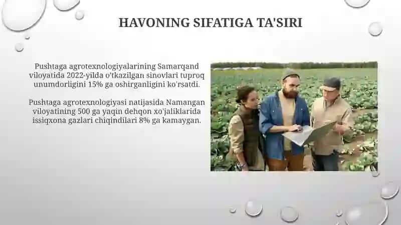 Pushtaga Agrotexnologiyalari 4
