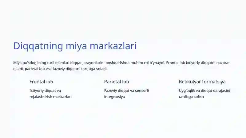 Diqqatning fiziologik asoslari 4