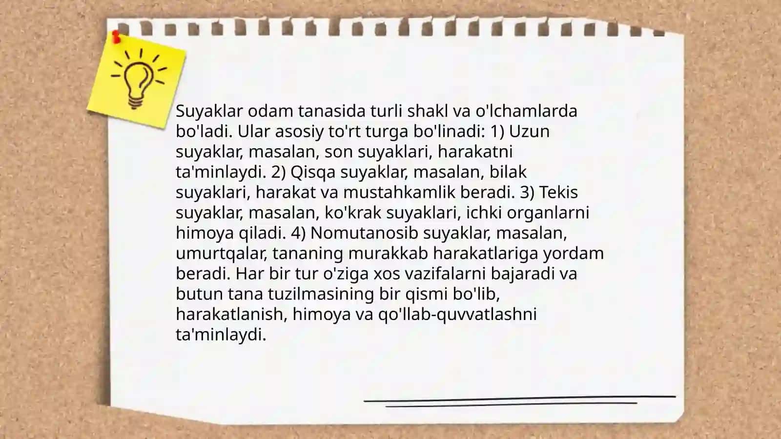 Ayirish va tayanch harakatlanish sistemasi. Suyaklar 4
