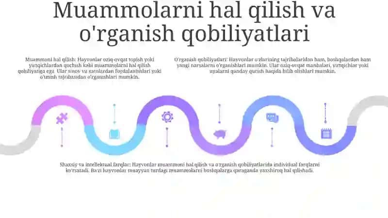 Hayvonlarning Indivedual Va Intellektual Hatti Harkatlar Shakllari 4