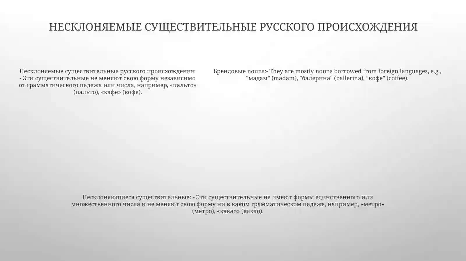 Разносклоняемые И НесклоняемыеИменаСуществительное 4