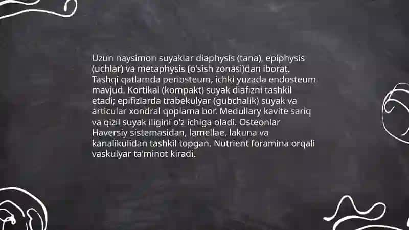 Suyaklar kuzlshi yasi va uzun naysimon suyaklar 4