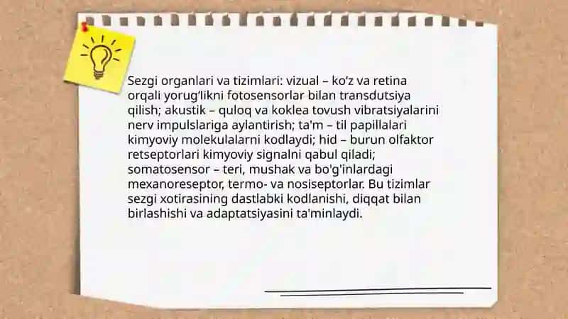 Umumiy psixologiyada Xotira va sezgi haqida tushuncha 4