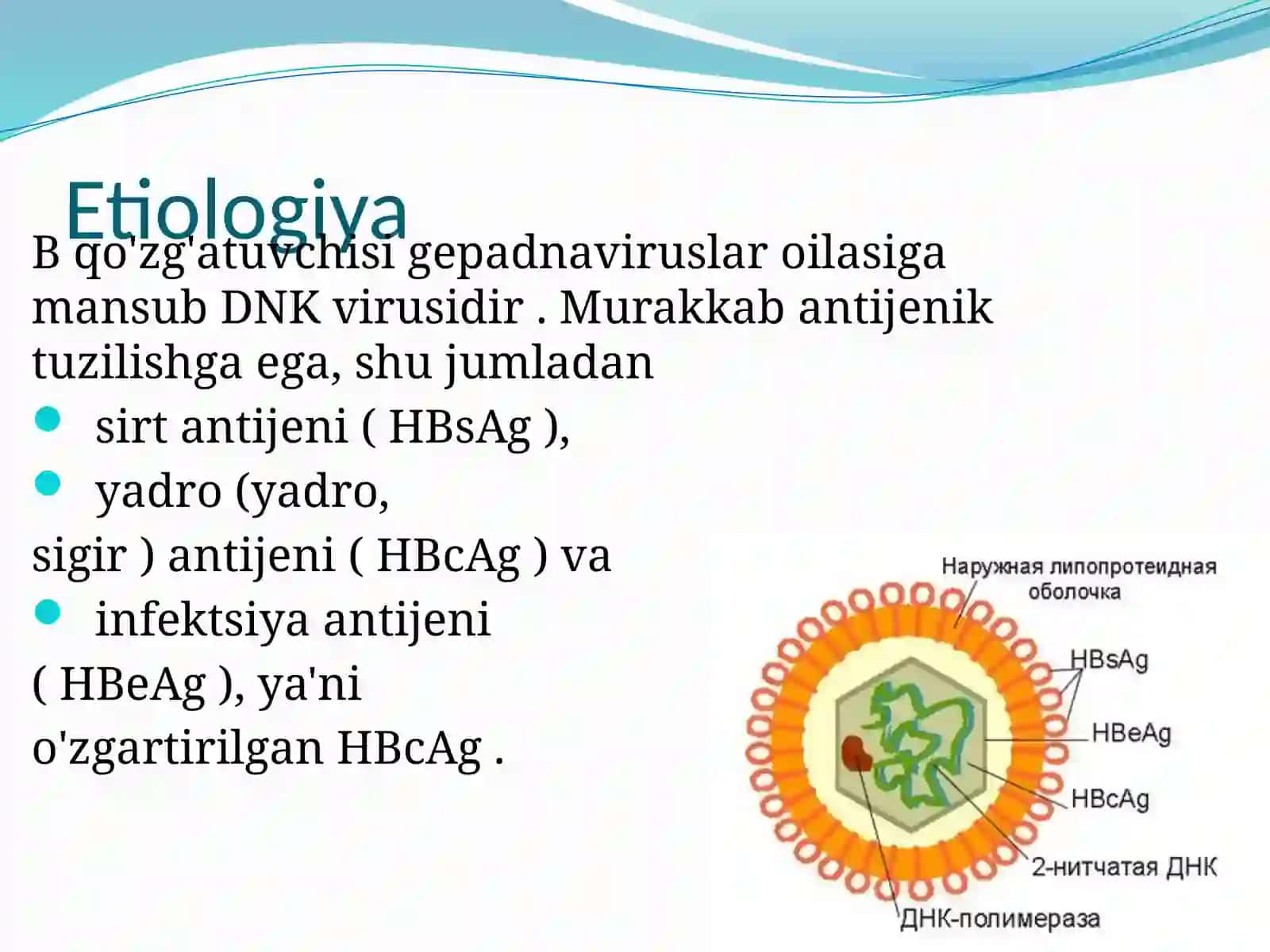 Virusli gepatitbni davolash 4