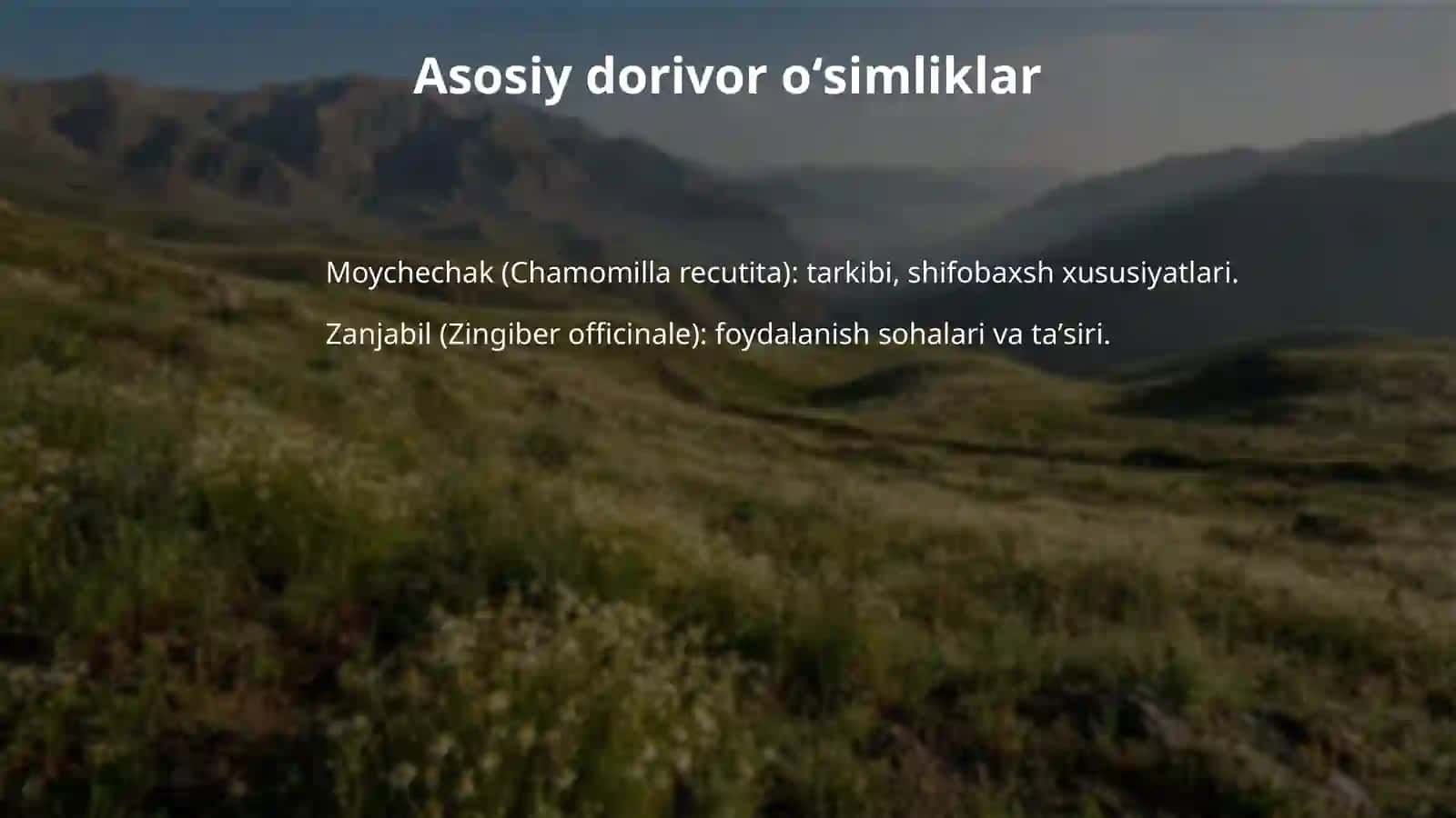 Oʻzbekistondagi tabiiy dorivor oʻsimliklar 4