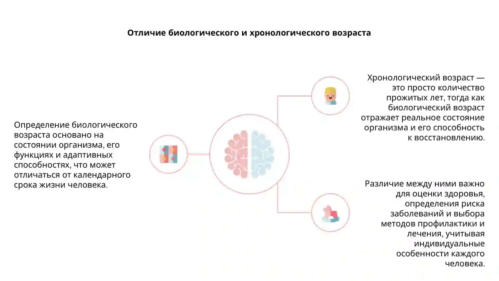 Определение биологического возраста 4
