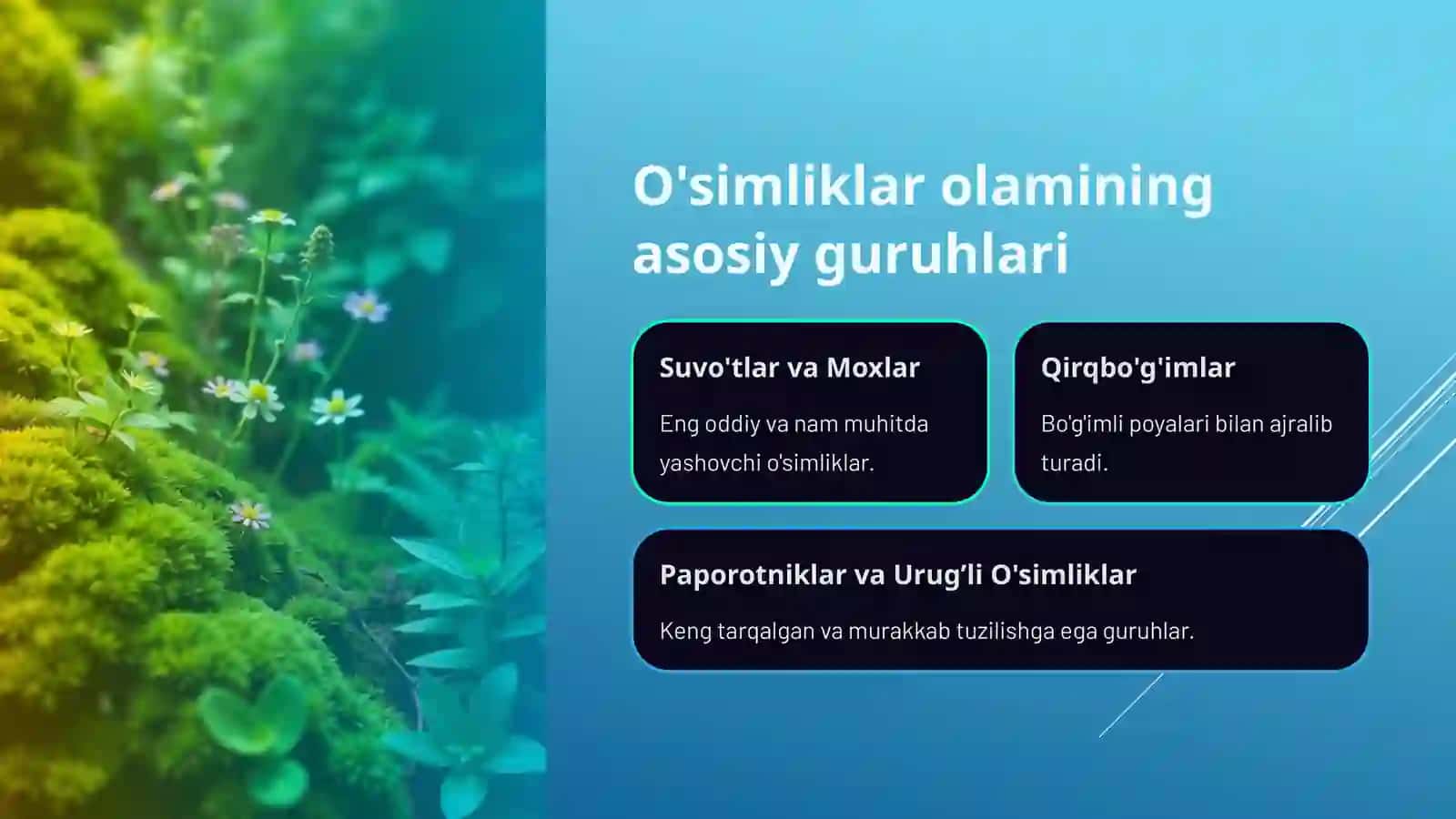 O‘simliklarning xilma-xilligi: Sporali o'simliklar (7-sinf biologiya 5E Modeli asosida dars ishlanma) 4