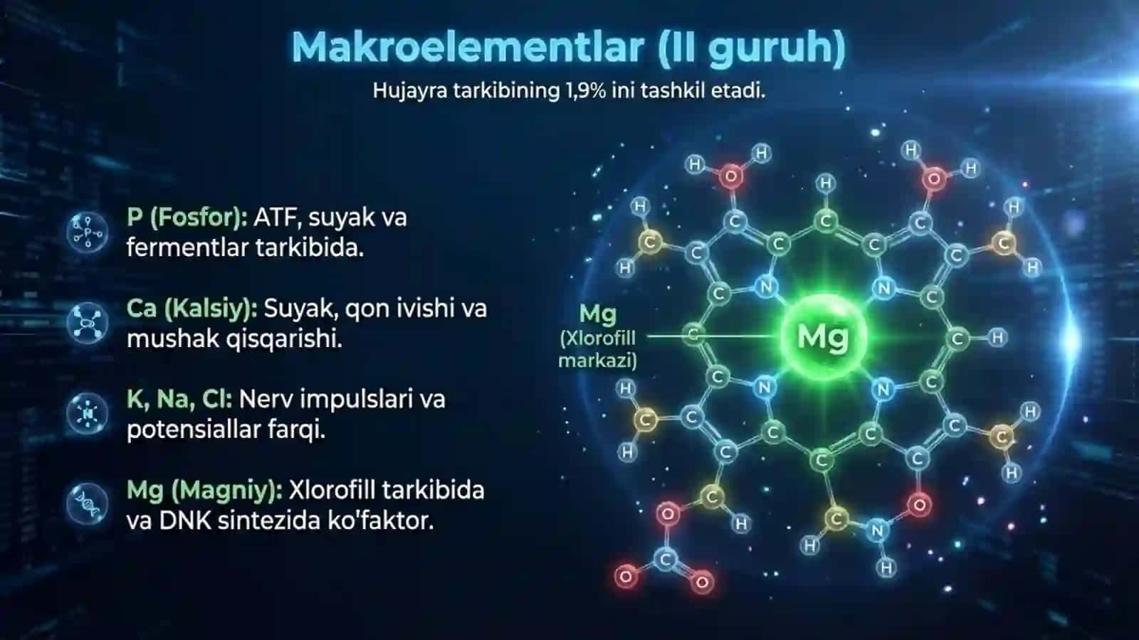 Tirik organizmlarning kimyoviy tarkibi 4