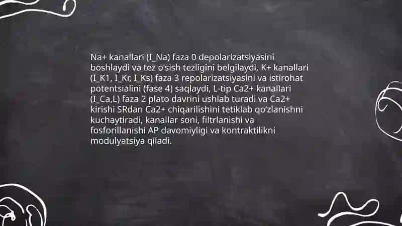 Yurak mushagining qoʻzlaluvchanlik oʻtkazuvchanlik va qisqaruvchanlik xususiyati 4