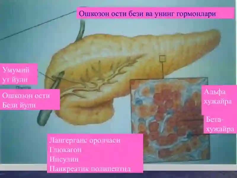 Кандли диабетнинг ижтимоий хавфи 4