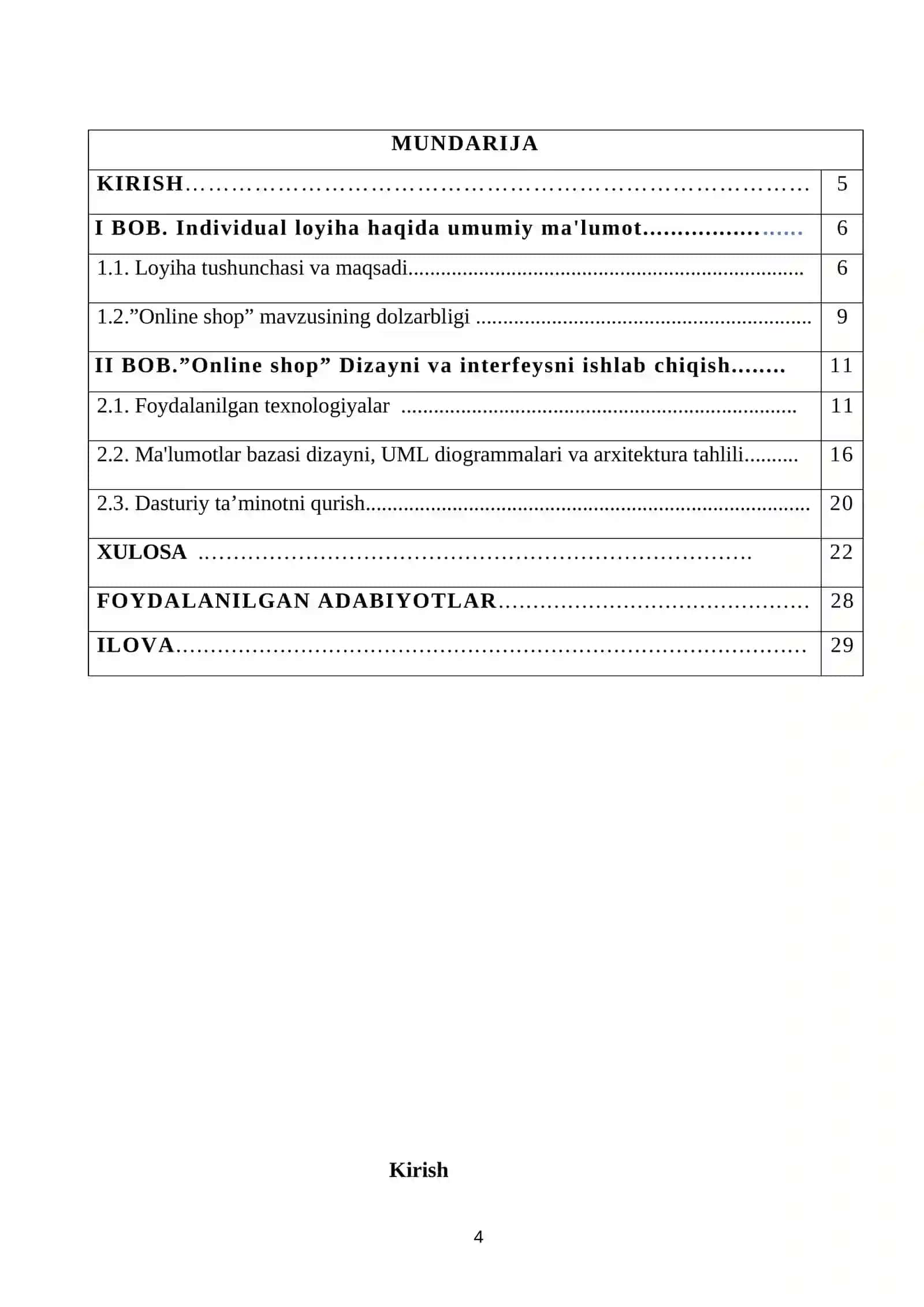 Individual Loyiha 4