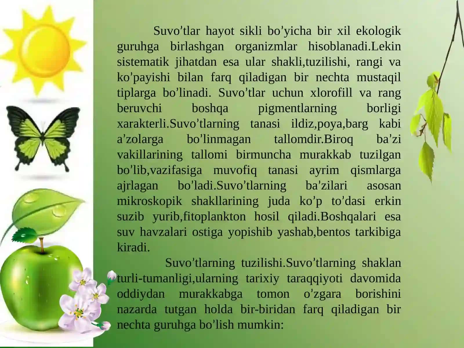 Bobojonova Sayyoraning botanika fanidan kurs ishi 4