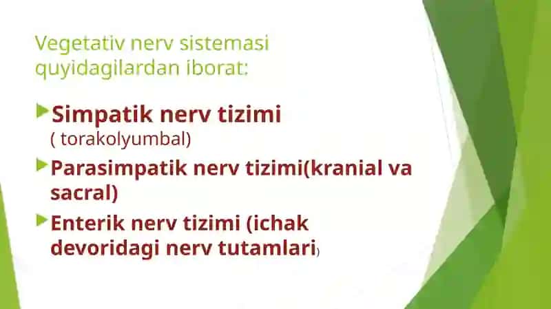 mustaqil ish fiziologiya 4