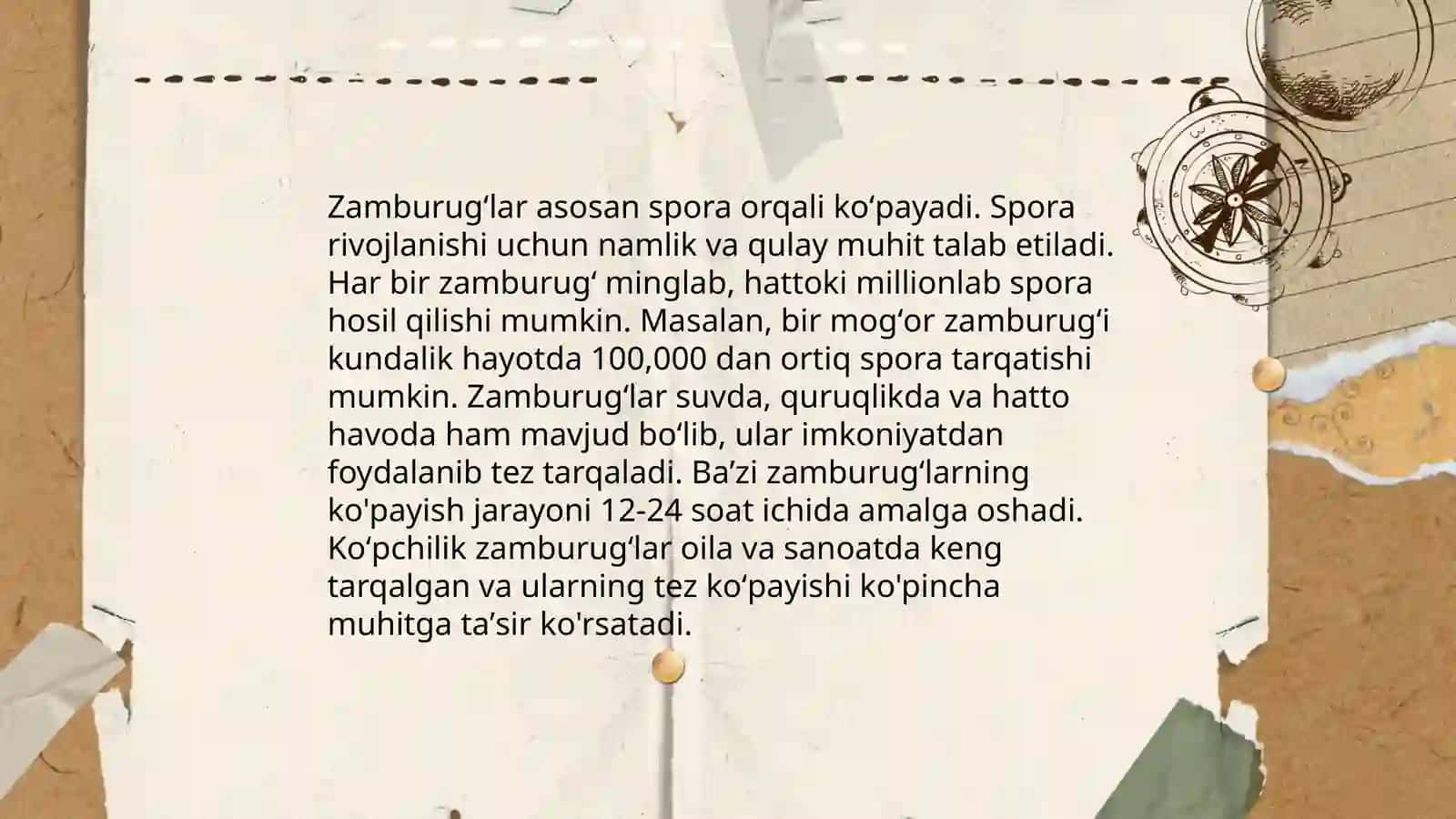 Mikologiya- Zamburugʻlar haqidagi fan 4