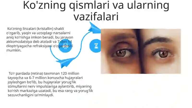 Optika asoslari va ko'zning optik sistemasi 4