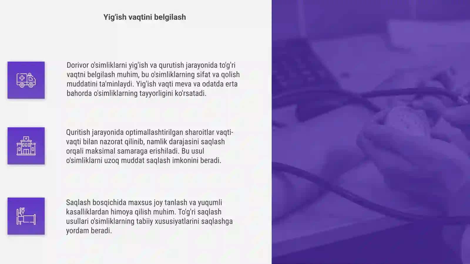 Dorivor o'simliklarni yig'ish qurutish saqlash 4
