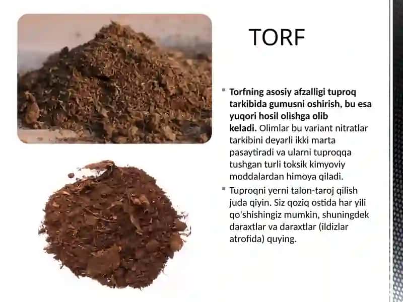 SAPROPEL VA BOSHQA MAHALLIY O’G’ITLAR 4