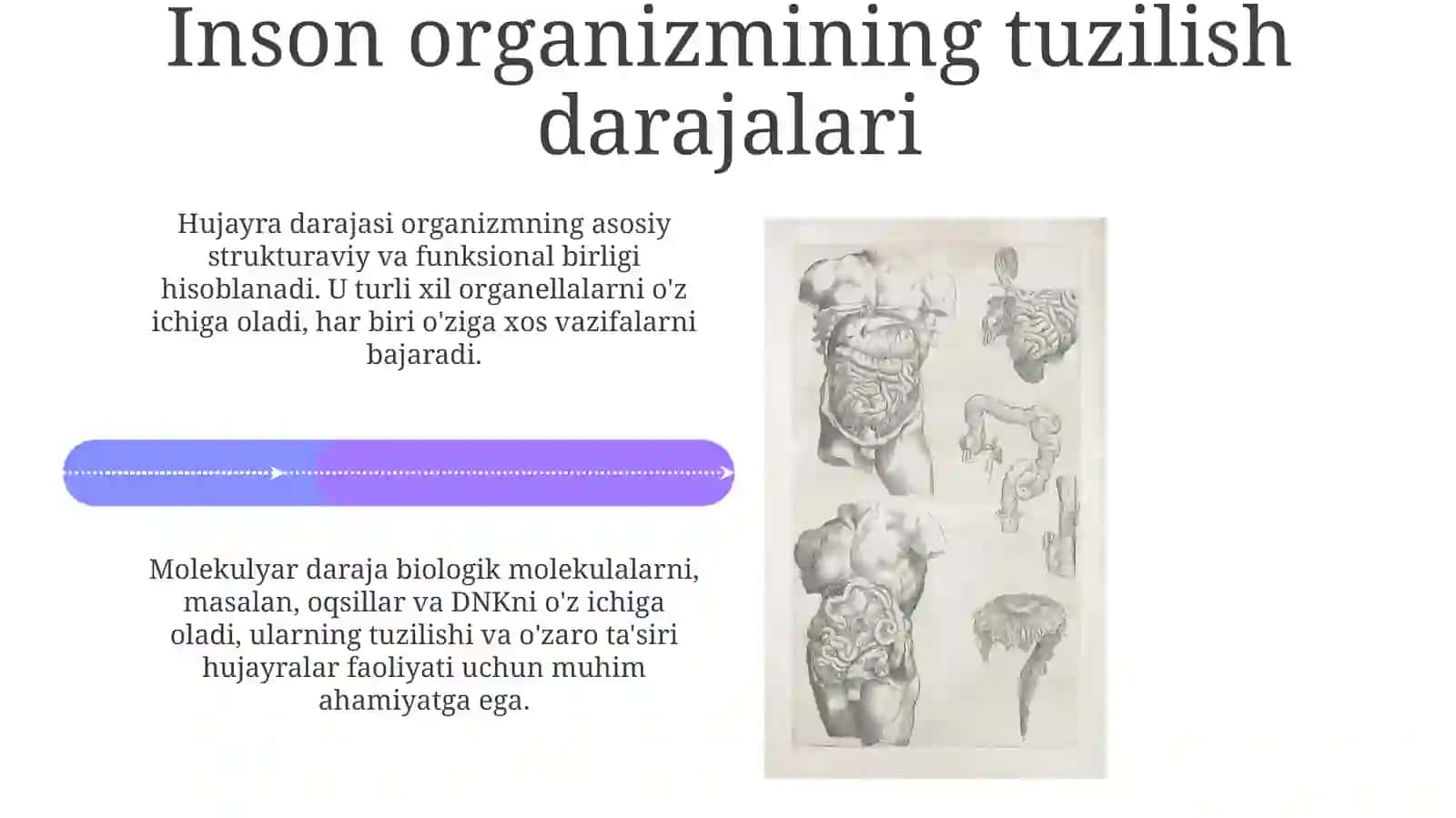 Anatomiyagakirish.Salomatlikvakasallik.Organizmningmuhofazavakompensatori 4
