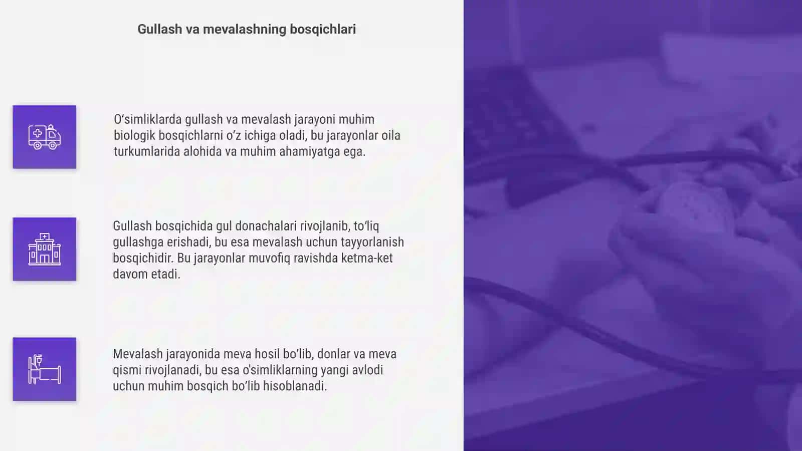 Oʻsimliklarda gullash va mevalash jarayoni (oila turkum alohida tur) 4