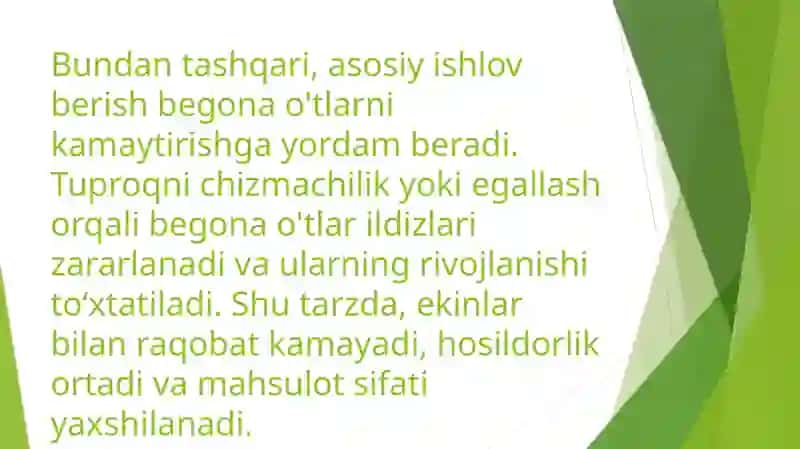 Yerga asosiy ishlov berish usullarining tuproq xususiyatlari va o'simliklarni o'sishi hamda rivojlanishiga ta'siri. 4