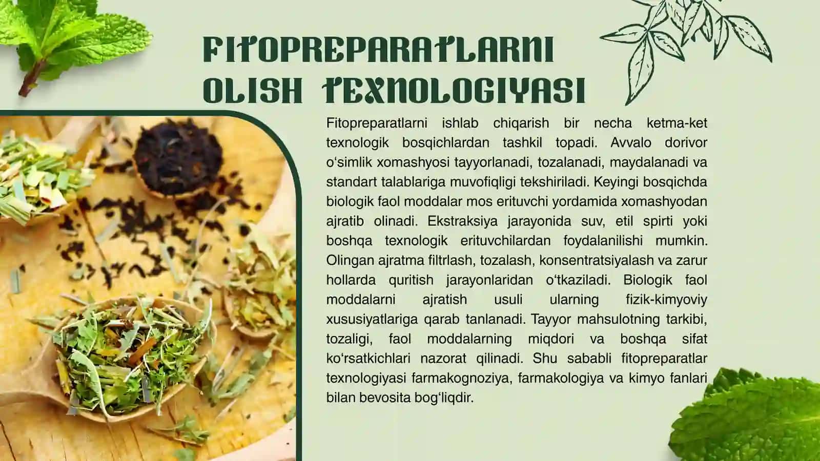 FITOPREPARATLAR VA ULARNING QO‘LLANILISHI 4