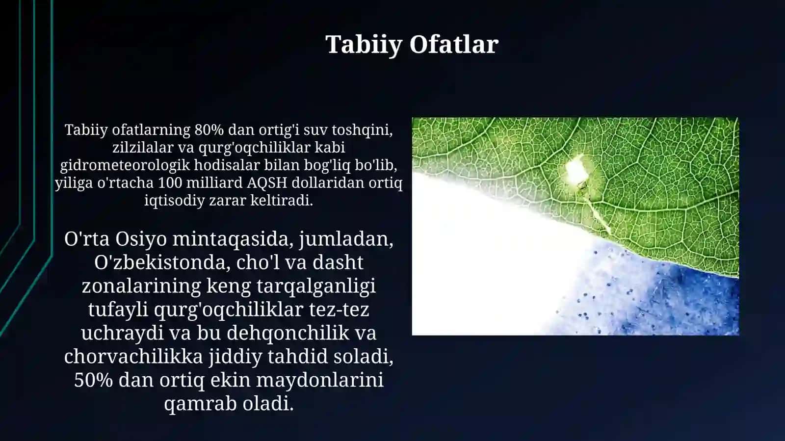 Global, mitaqaviy va mahalliy miqyosdagi ekologik muammolar 4