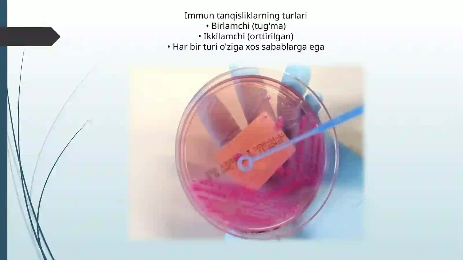 Molekulyar immuntanqislikning opportunistik infeksiyalariga kirishining mexanizmi 4