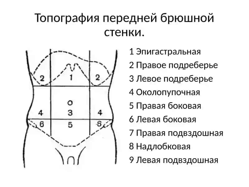 Заболевания органов брюшной полости 4