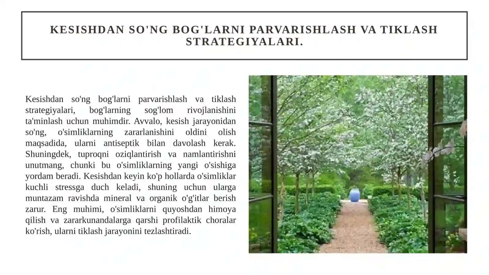 Bog'larda sanitar kesish usullari. 4
