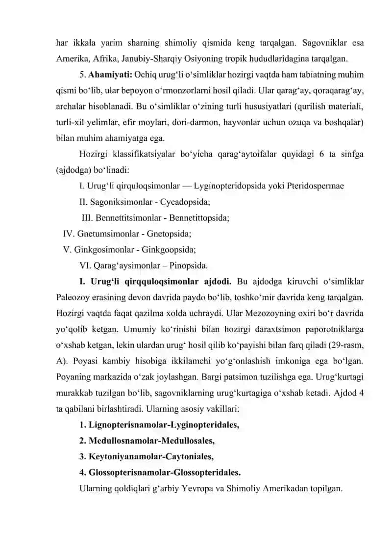 Urug‘li o‘simliklar. Qarag‘aytoifa (ochiq urug‘lilar) – Rinophyta (Gymnospermae) o‘simliklar bo‘limi referat 4