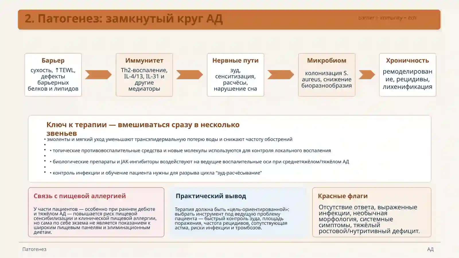 Атопический дерматит 4