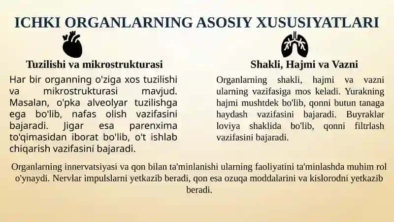 Ichki organlarning umumiy tavsifi, ularning klassifikatsiyasi va  funksiyasi. Ovqat hazm qilish organlarining tuzilishi 4