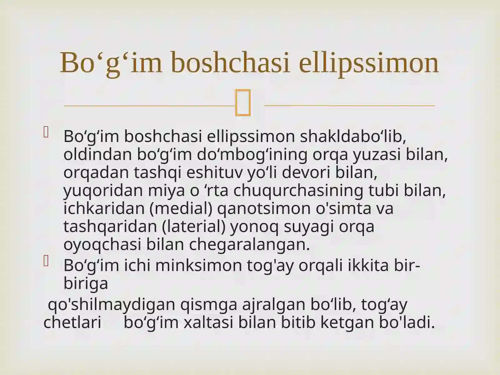 CHPJB funksional anatomiyasi 4