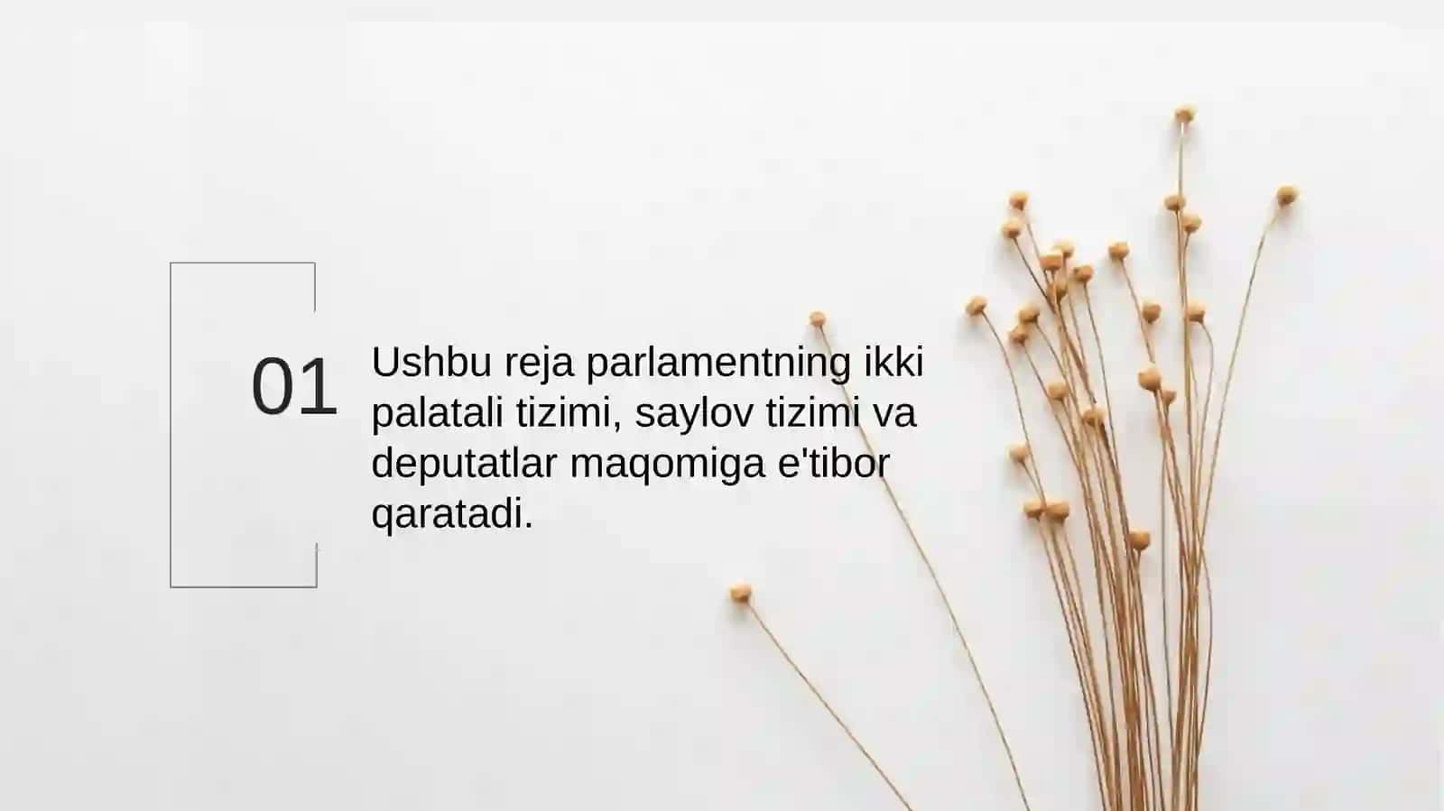 Yangi tahrirdagi Oʻzbekiston Respublikasi Konistitutsiyasi fanidan taqdimoti 4