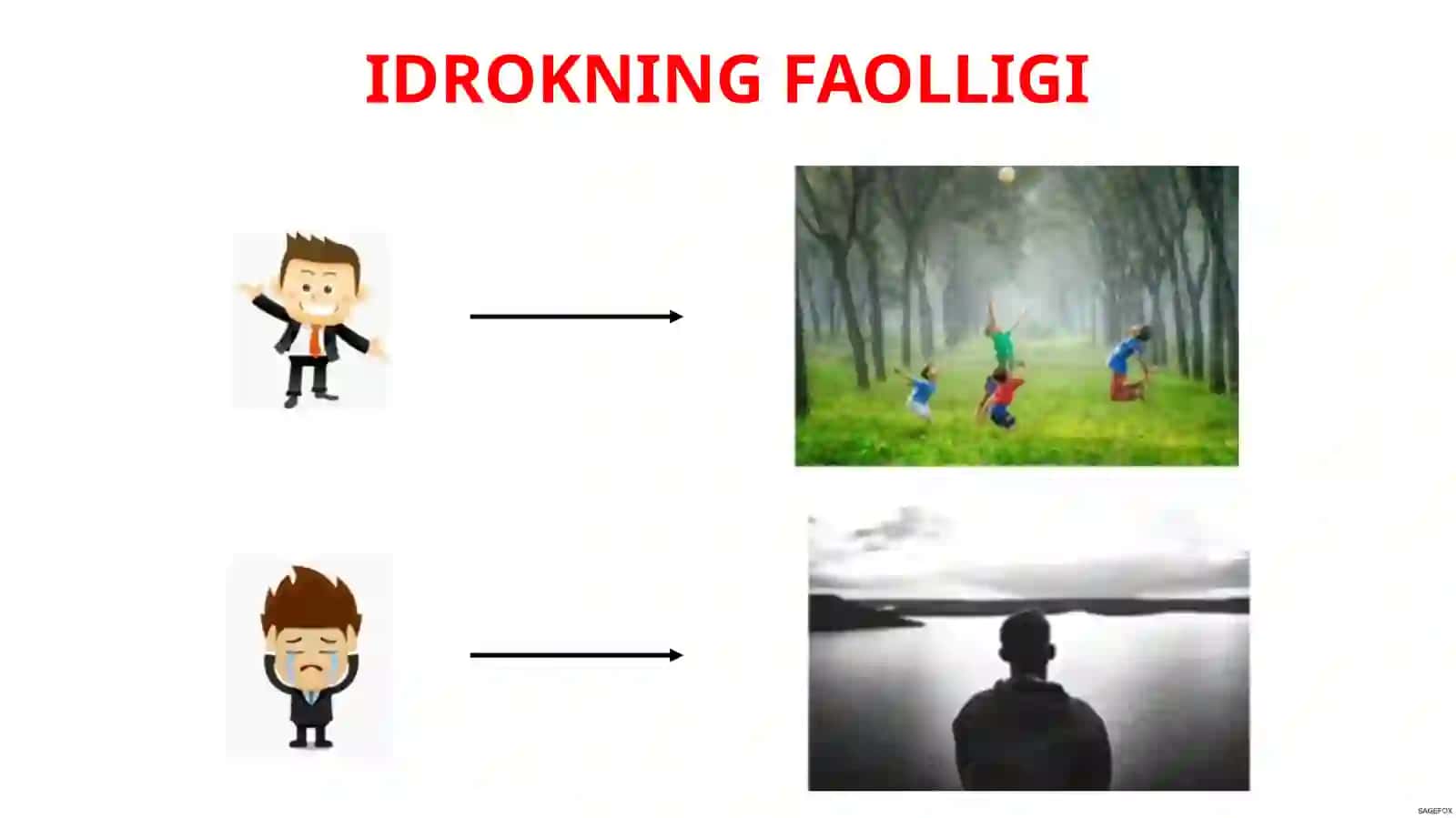 IDROK 4