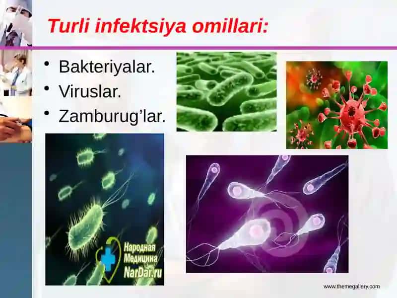Bronxialastma 4