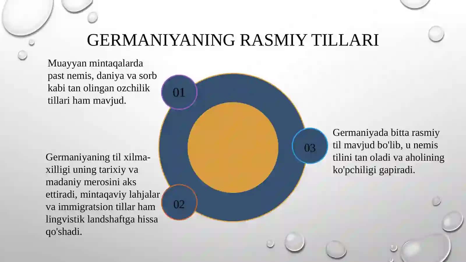 Germaniyadagi lisoniy vaziyat 4